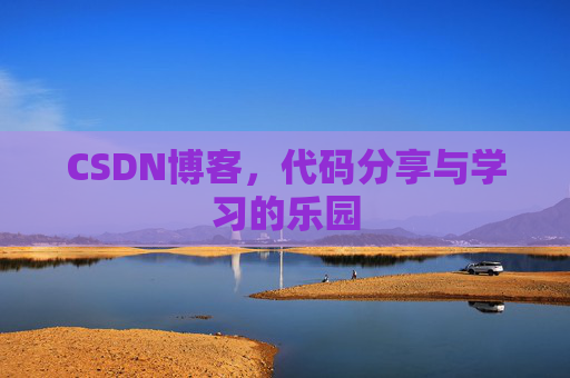 CSDN博客，代码分享与学习的乐园